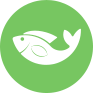 Nick the Fish - Online Fishmonger