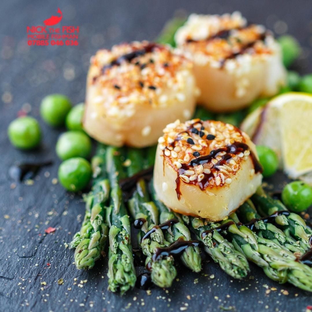 Scallops, Jumbo Size - Nick the Fish