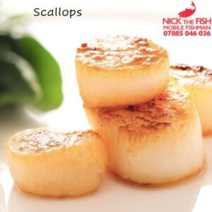 Scallops - Nick The Fish