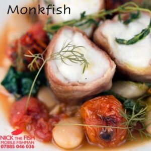Monkfish - Nick The Fish